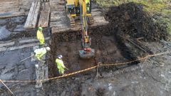 I samband med Ostlänkens anläggningsarbeten har det gjorts arkeologiska underökningar i Logsjömossen i Järna.