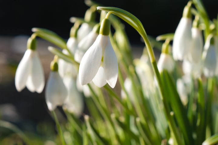 Våren och påsken är här - trafikintensiv påskhelg