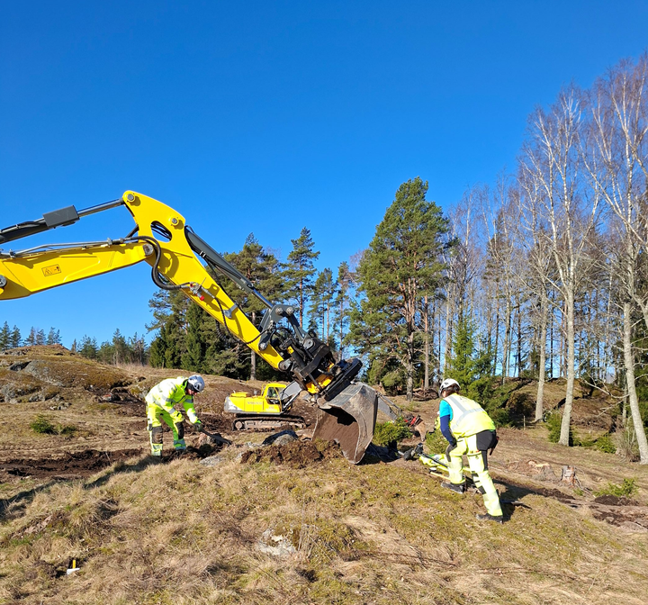 Nu har arbetet med att schakta fram gravarna vid Rogsta gravfält påbörjats.