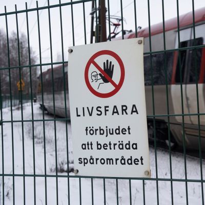 Description of the image