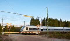 Fotograf: Torbjörn Bergkvist