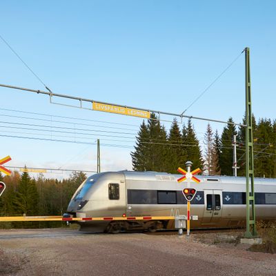 Description of the image