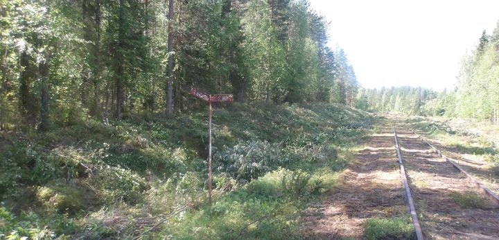 Röjd del av järnvägen mellan Morjärv - Karungi - Haparanda.