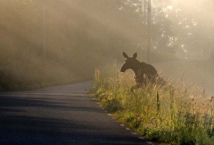 Bild: Trafikverket