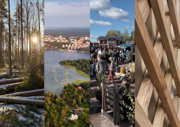 Ett collage av Gaia Arkitekturs mångskiftande uppdrag.