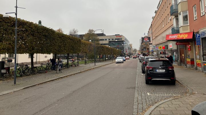 En stadsgata med bilar parkerade på högersidan och en trädallé på vänstersidan.